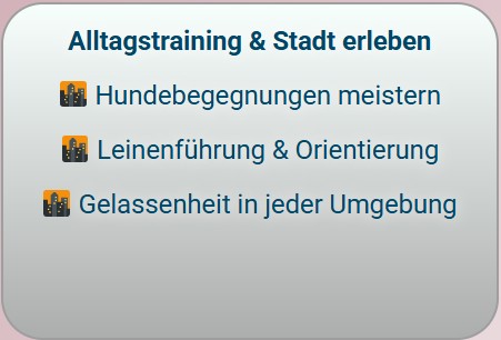 Alltagstraining