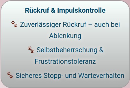 Rückruf