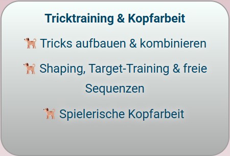 Tricktraining
